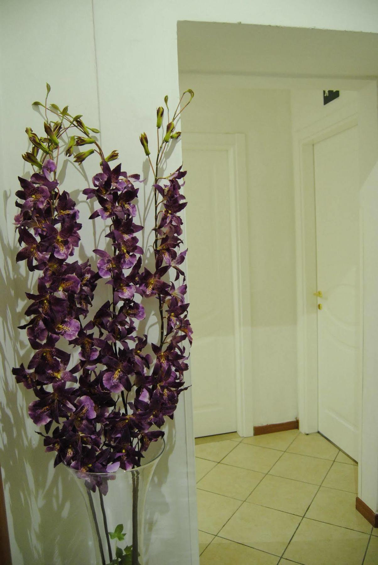 Adelaide House Hotel Florence Luaran gambar